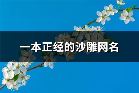 一本正经的沙雕网名(精选176个)