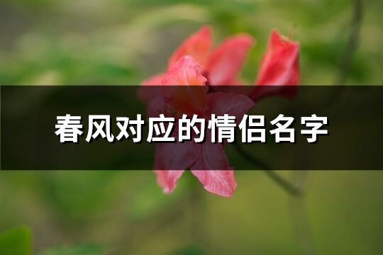 春风对应的情侣名字(优选79个)