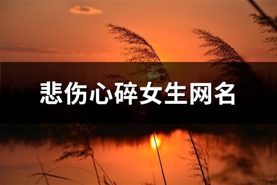 悲伤心碎女生网名(共558个)