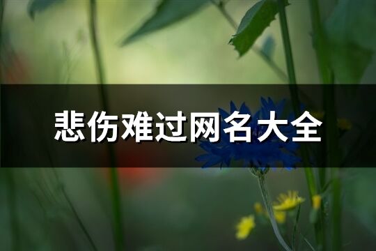 悲伤难过网名大全(共697个)