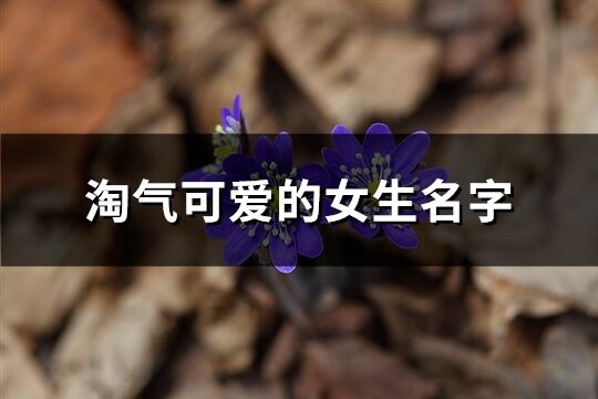 淘气可爱的女生名字(共253个)