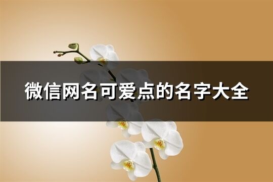 微信网名可爱点的名字大全(113个)