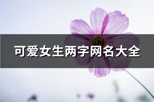 可爱女生两字网名大全(共160个)