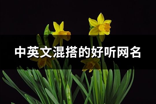 中英文混搭的好听网名(共133个)