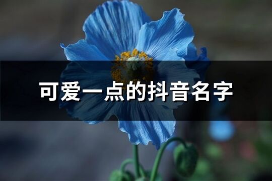 可爱一点的抖音名字(共221个)