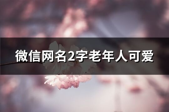 微信网名2字老年人可爱(精选421个)