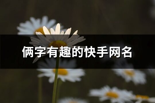 俩字有趣的快手网名(精选1294个)