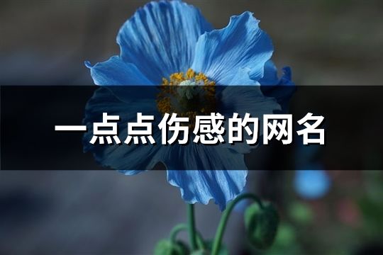 一点点伤感的网名(共153个)