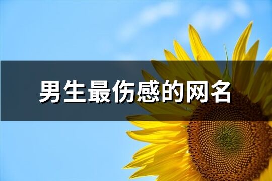 男生最伤感的网名(精选727个)