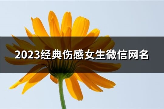 2023经典伤感女生微信网名(260个)