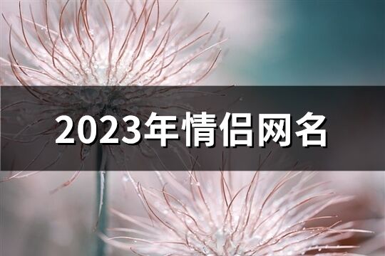 2023年情侣网名(优选363个)