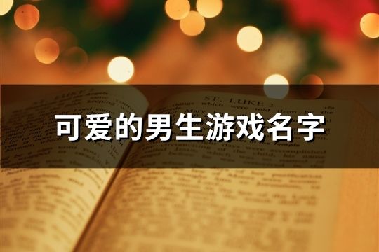 可爱的男生游戏名字(共722个)