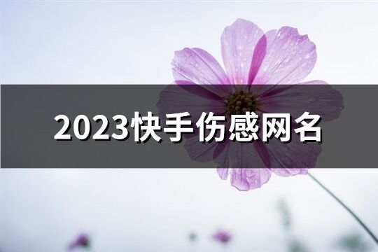 2023快手伤感网名(共313个)