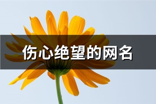 伤心绝望的网名(精选480个)