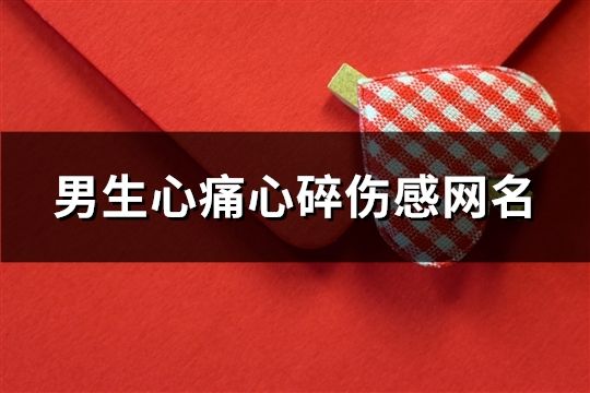 男生心痛心碎伤感网名(精选169个)