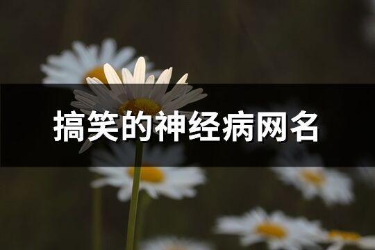 搞笑的神经病网名(共245个)