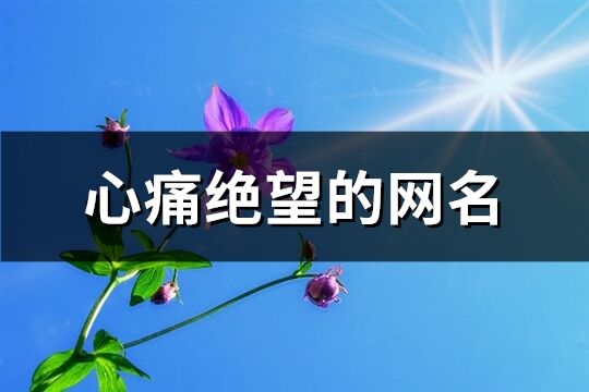 心痛绝望的网名(共529个)