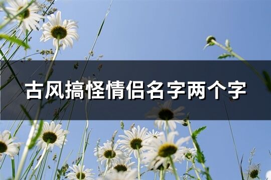 古风搞怪情侣名字两个字(共154个)