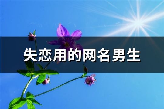 失恋用的网名男生(精选223个)