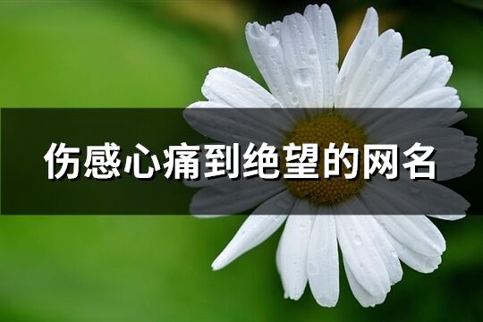 伤感心痛到绝望的网名(共552个)