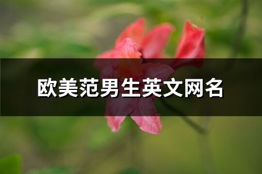 欧美范男生英文网名(76个)