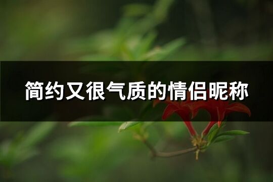 简约又很气质的情侣昵称(精选263个)