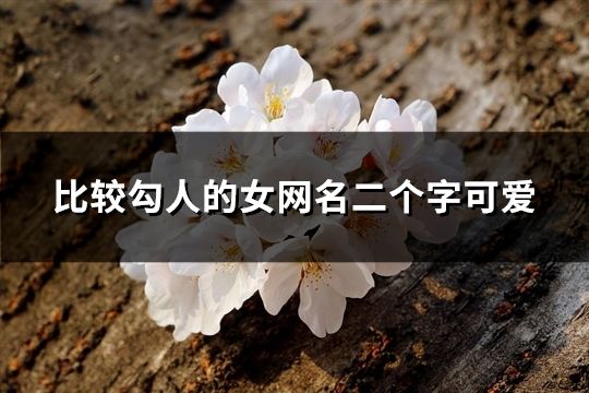 比较勾人的女网名二个字可爱(99个)