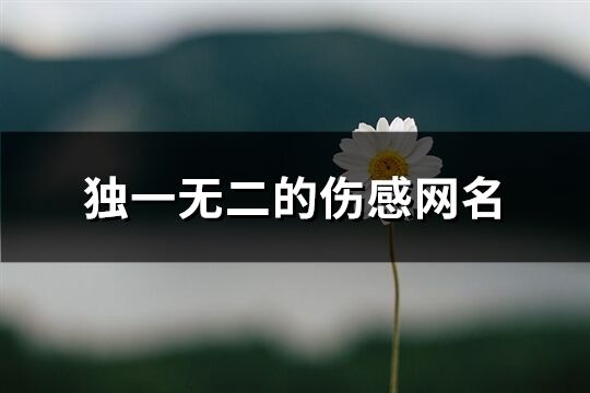 独一无二的伤感网名(438个)