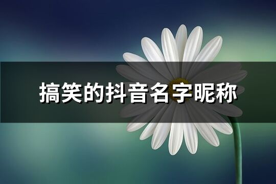 搞笑的抖音名字昵称(共330个)