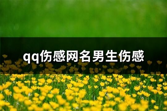 qq伤感网名男生伤感(精选311个)