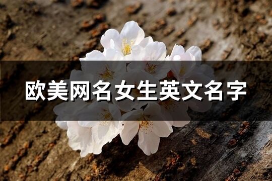 欧美网名女生英文名字(精选171个)