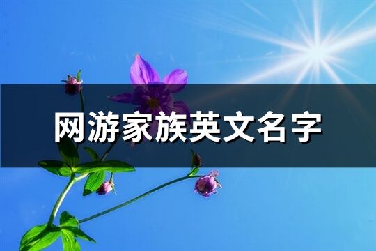 网游家族英文名字(77个)