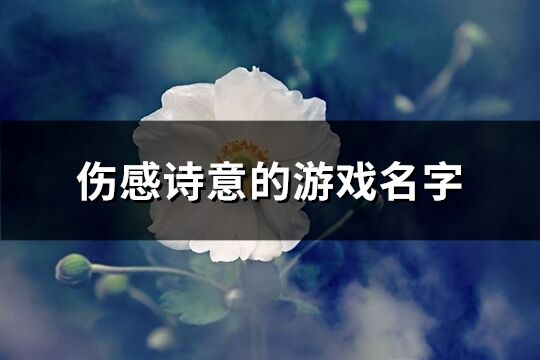 伤感诗意的游戏名字(精选405个)