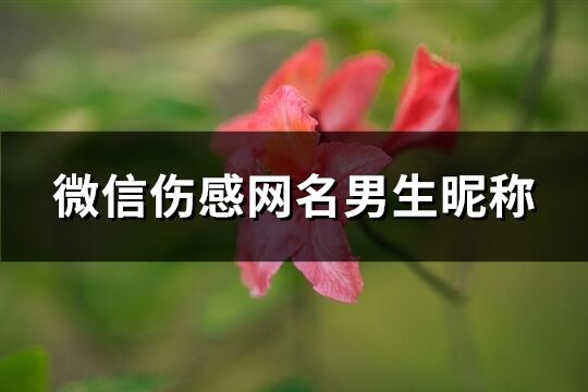 微信伤感网名男生昵称(共246个)