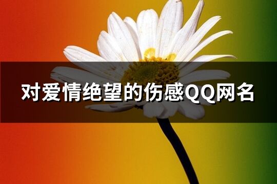 对爱情绝望的伤感QQ网名(精选190个)