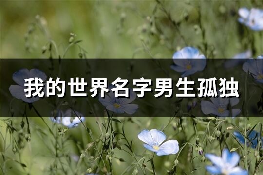 我的世界名字男生孤独(共195个)