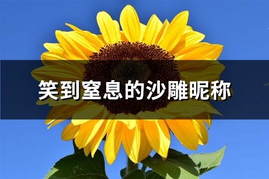 笑到窒息的沙雕昵称(精选319个)