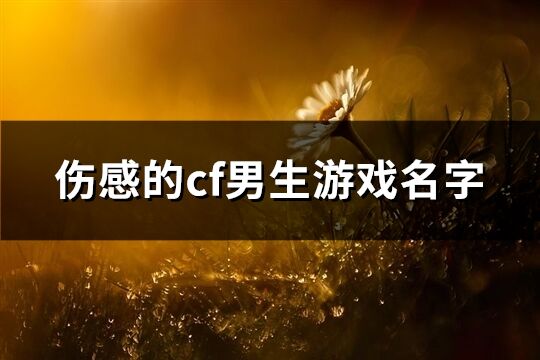 伤感的cf男生游戏名字(共370个)