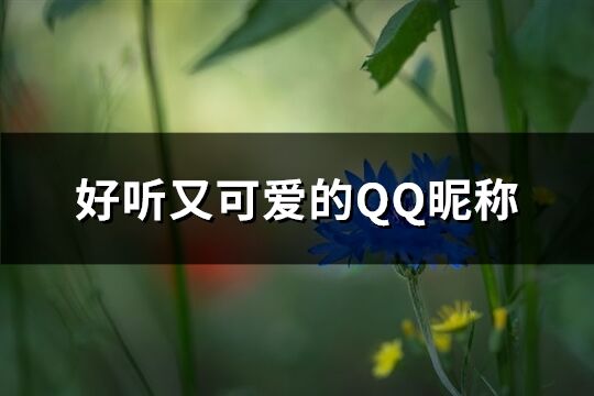 好听又可爱的QQ昵称(542个)