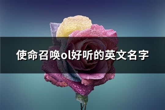 使命召唤ol好听的英文名字(共128个)