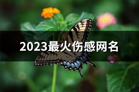 2023最火伤感网名(共644个)