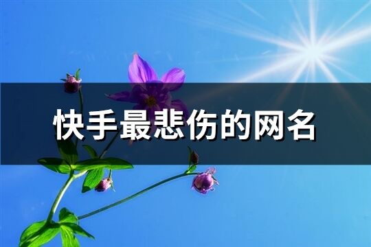 快手最悲伤的网名(共552个)