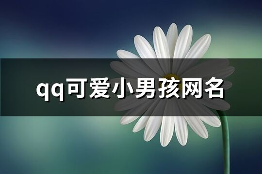 qq可爱小男孩网名(精选364个)