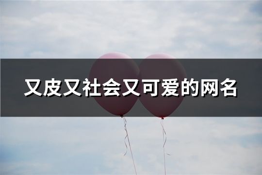 又皮又社会又可爱的网名(精选191个)