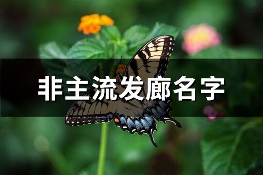 非主流发廊名字(共221个)