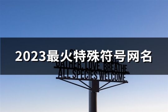 2023最火特殊符号网名(共292个)