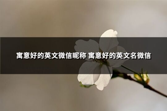 寓意好的英文微信昵称 寓意好的英文名微信(优选249个)