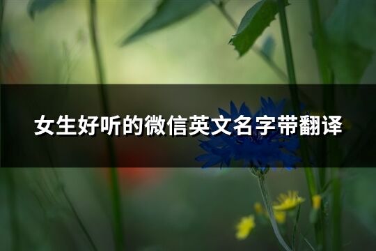 女生好听的微信英文名字带翻译(62个)