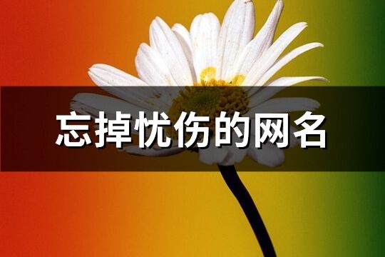 忘掉忧伤的网名(优选132个)