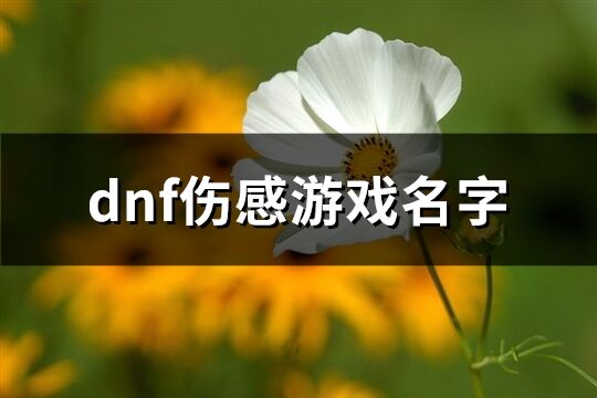 dnf伤感游戏名字(共155个)